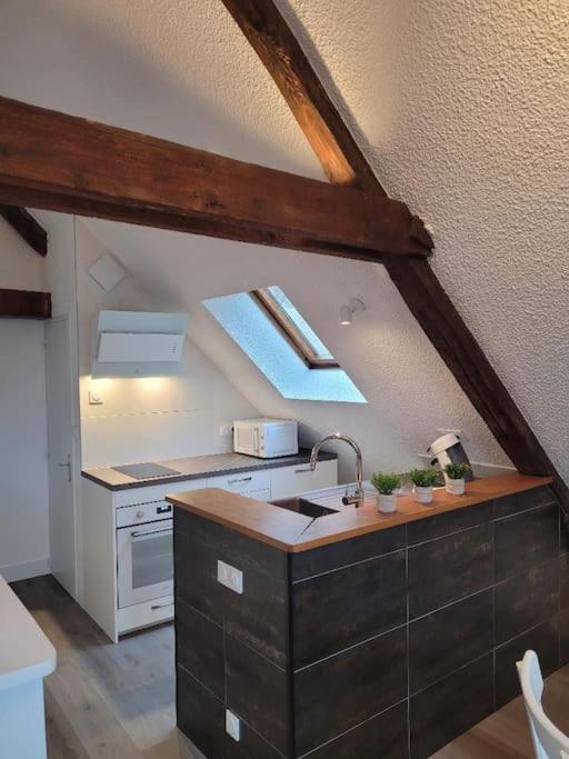 Appartement Avec Vue Sur Loire Μπλουά Εξωτερικό φωτογραφία